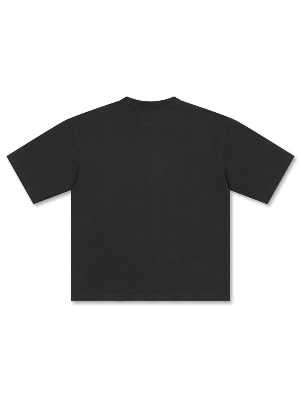 Godspeed Save the Bees II Boxy Tee - Black