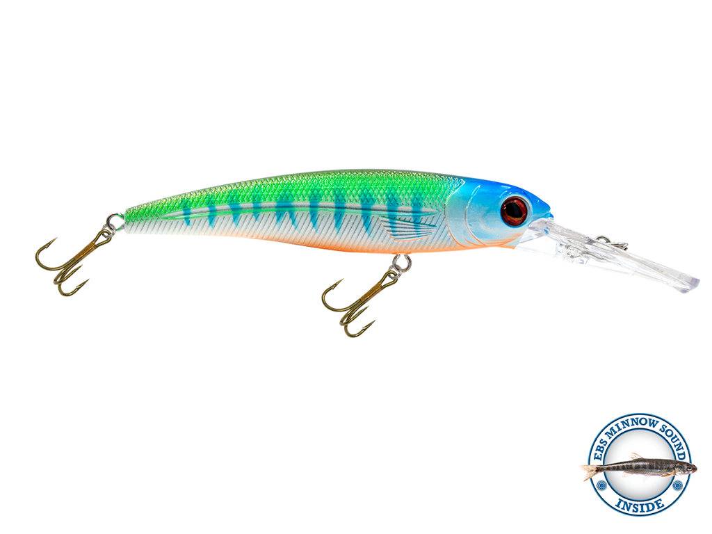 Voyager 15 Walleye