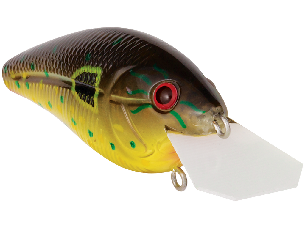 Primetyme CB 1.5
