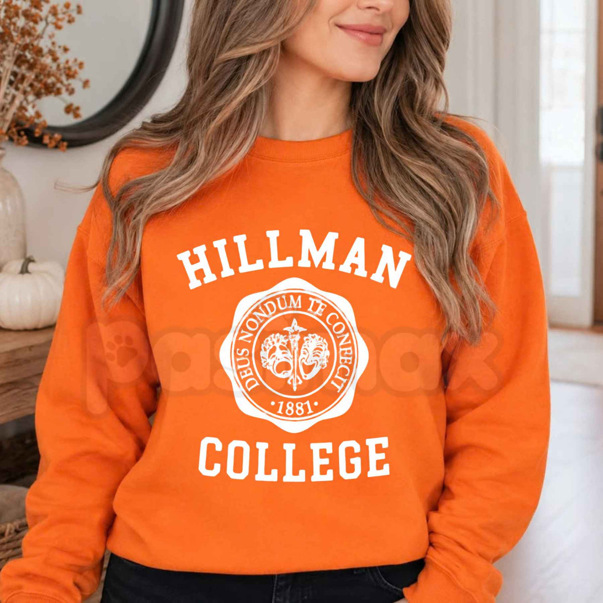 Hillman College Sweatshirt | Vintage 90s TV Collegiate Crewneck
