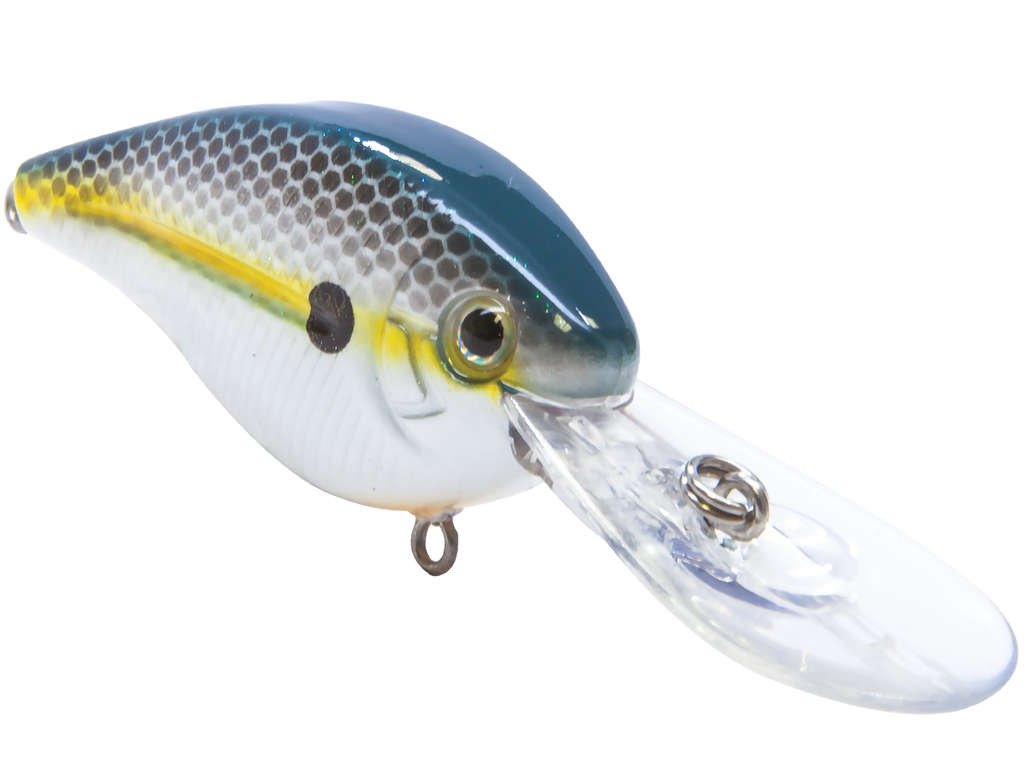 FlatMaster