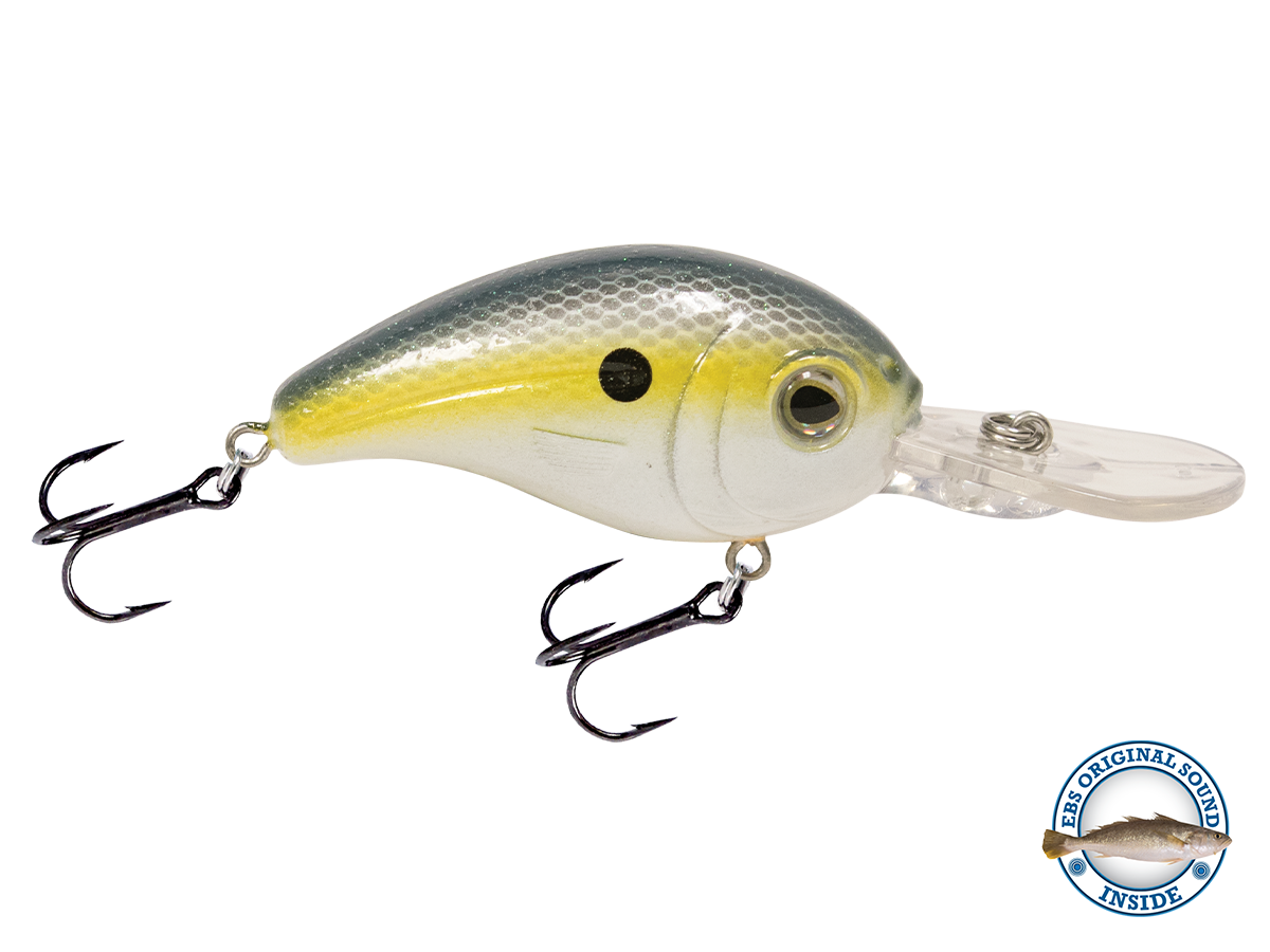 Dive Master Jr 8