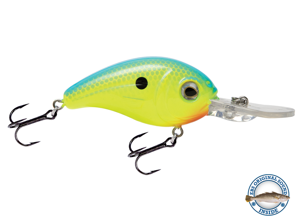 Dive Master Jr 8