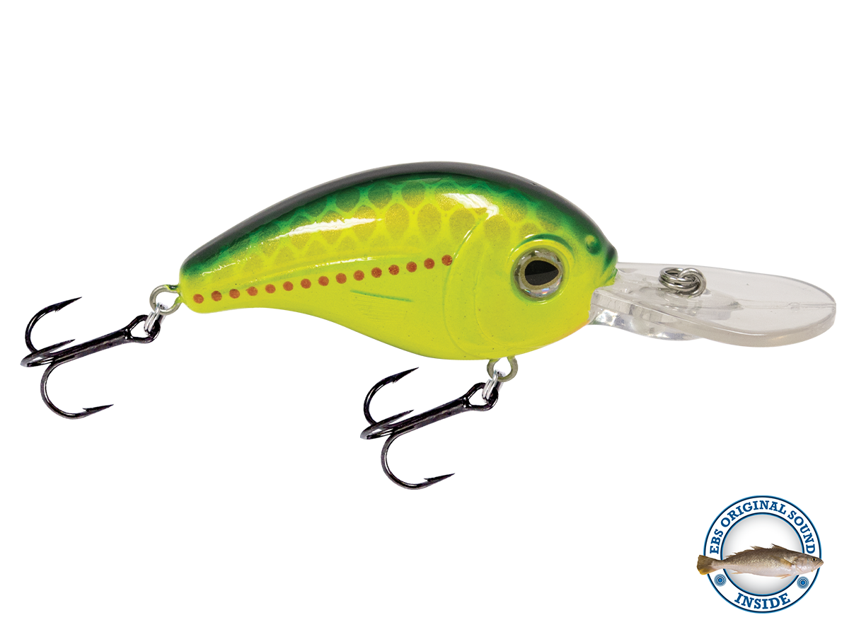 Dive Master Jr 8