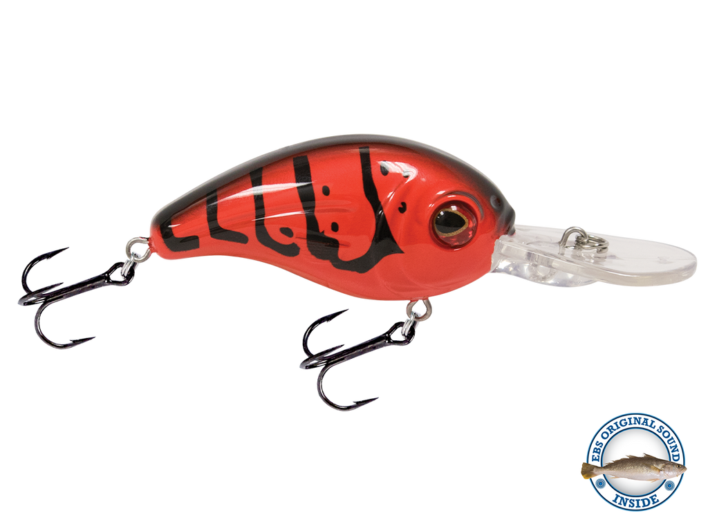 Dive Master Jr 8