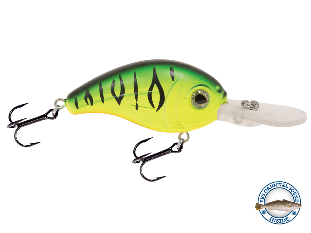 Dive Master Jr 8