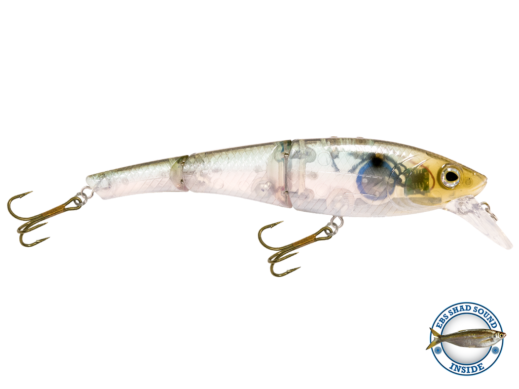 Head Hunter 8"