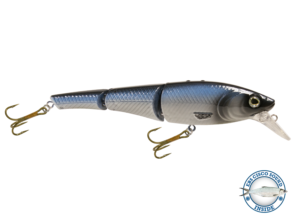 Head Hunter 6"