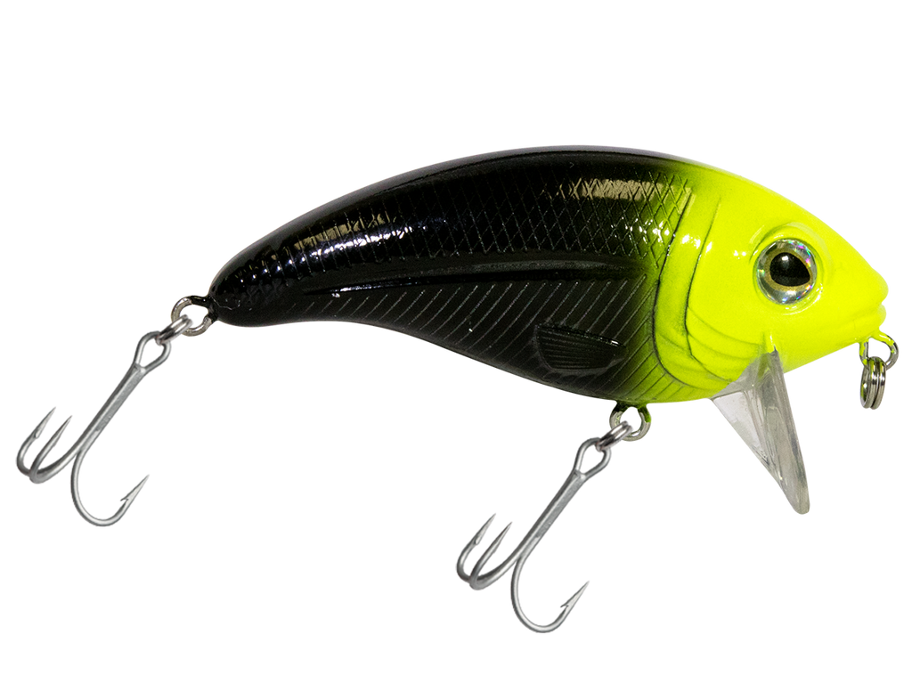 Bull Nose