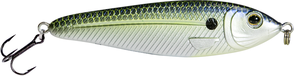 EBS Jigging Spoon