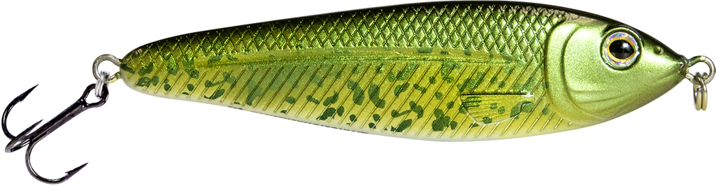EBS Jigging Spoon