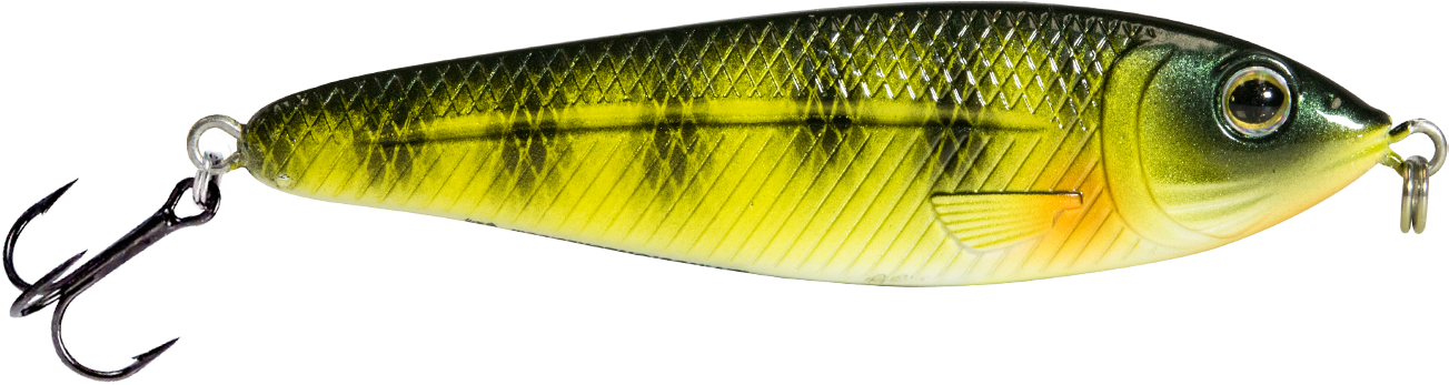 EBS Jigging Spoon