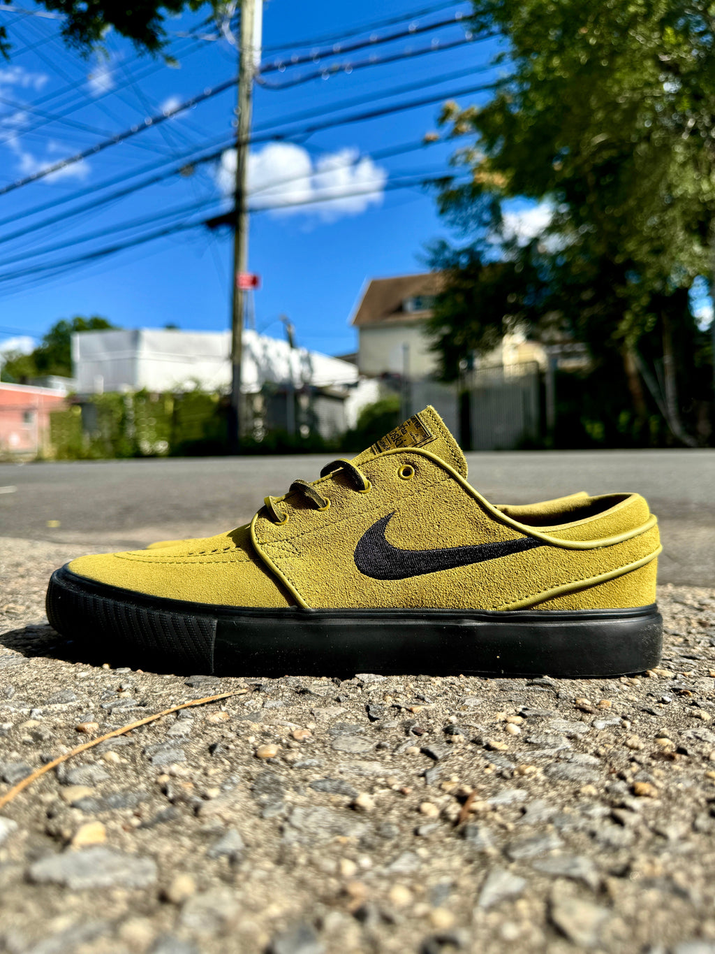 Nike SB Janoski Pacific Moss