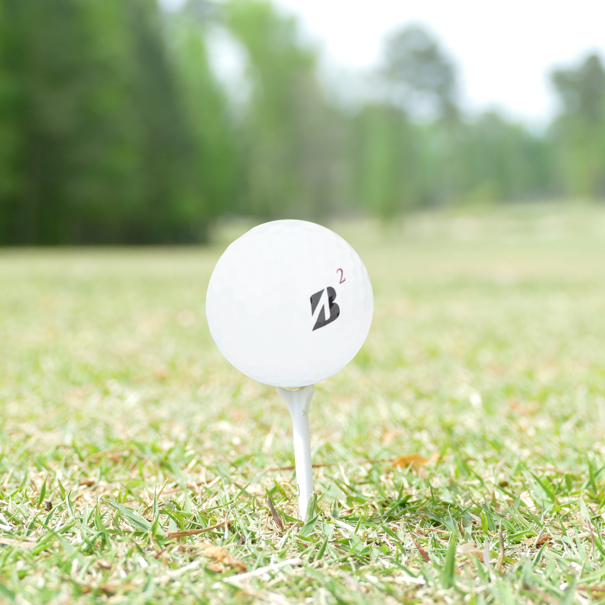 Used Bridgestone Tour Mix - 1 Dozen