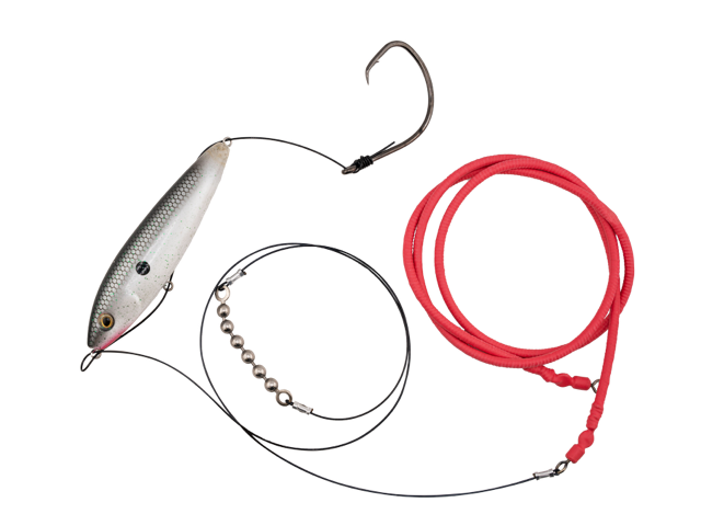 Gatto Loco Catfish Rig