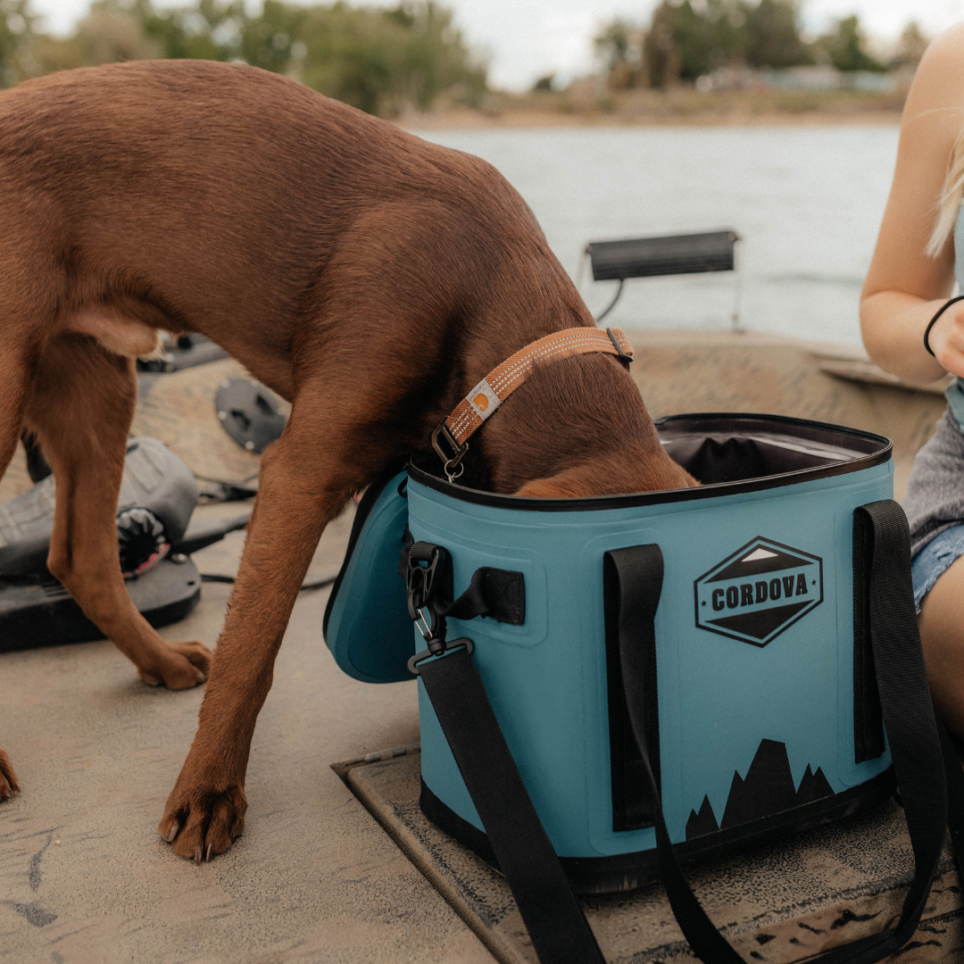 Backcountry Class™ Daypack Cooler