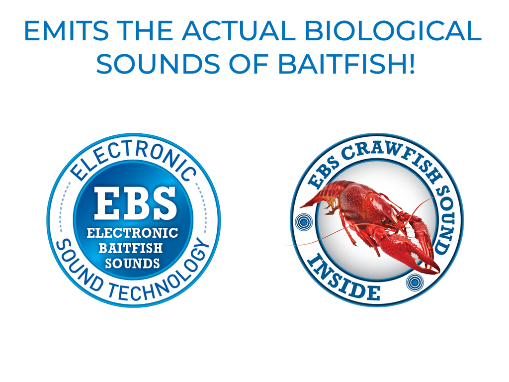 School Master