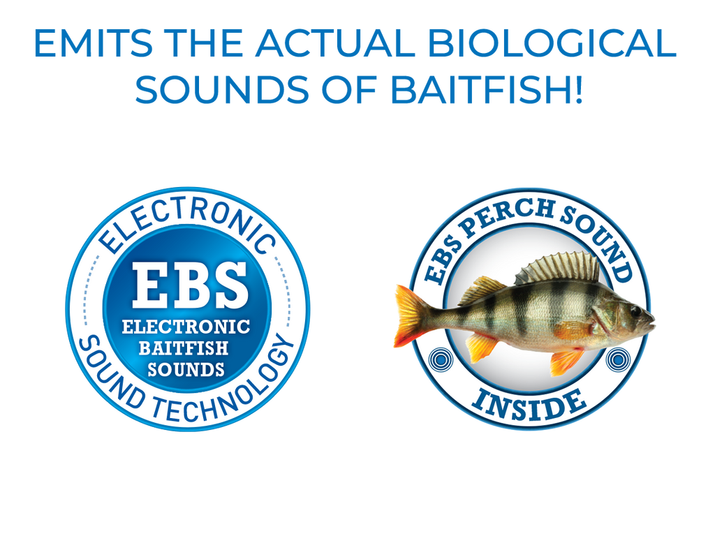 EBS Jigging Spoon