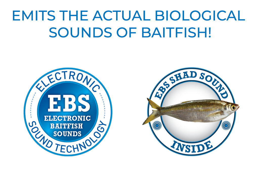 FlatMaster SQ