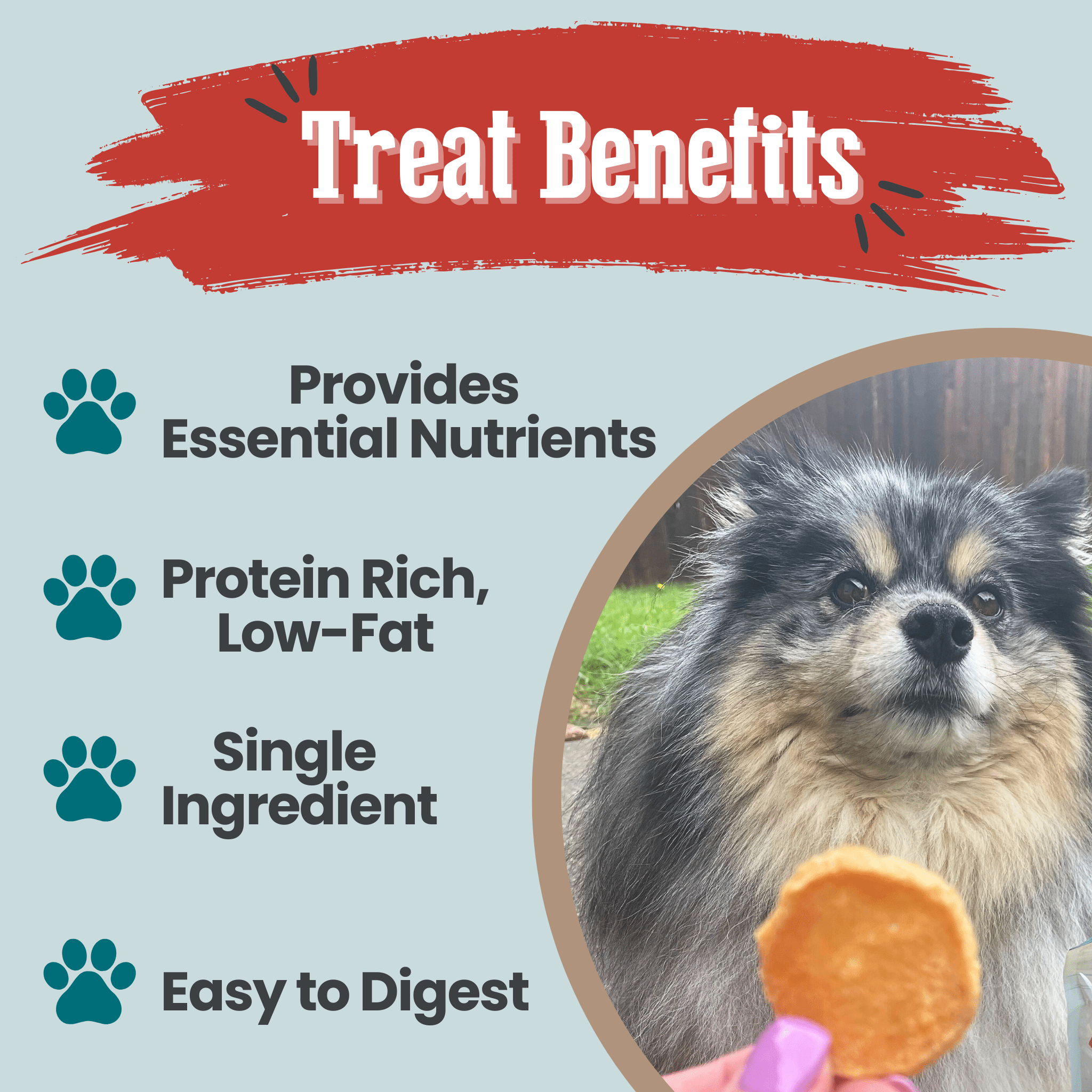 Fish Chips Snack Pack Bundles | Dog Treats for Training & Travel