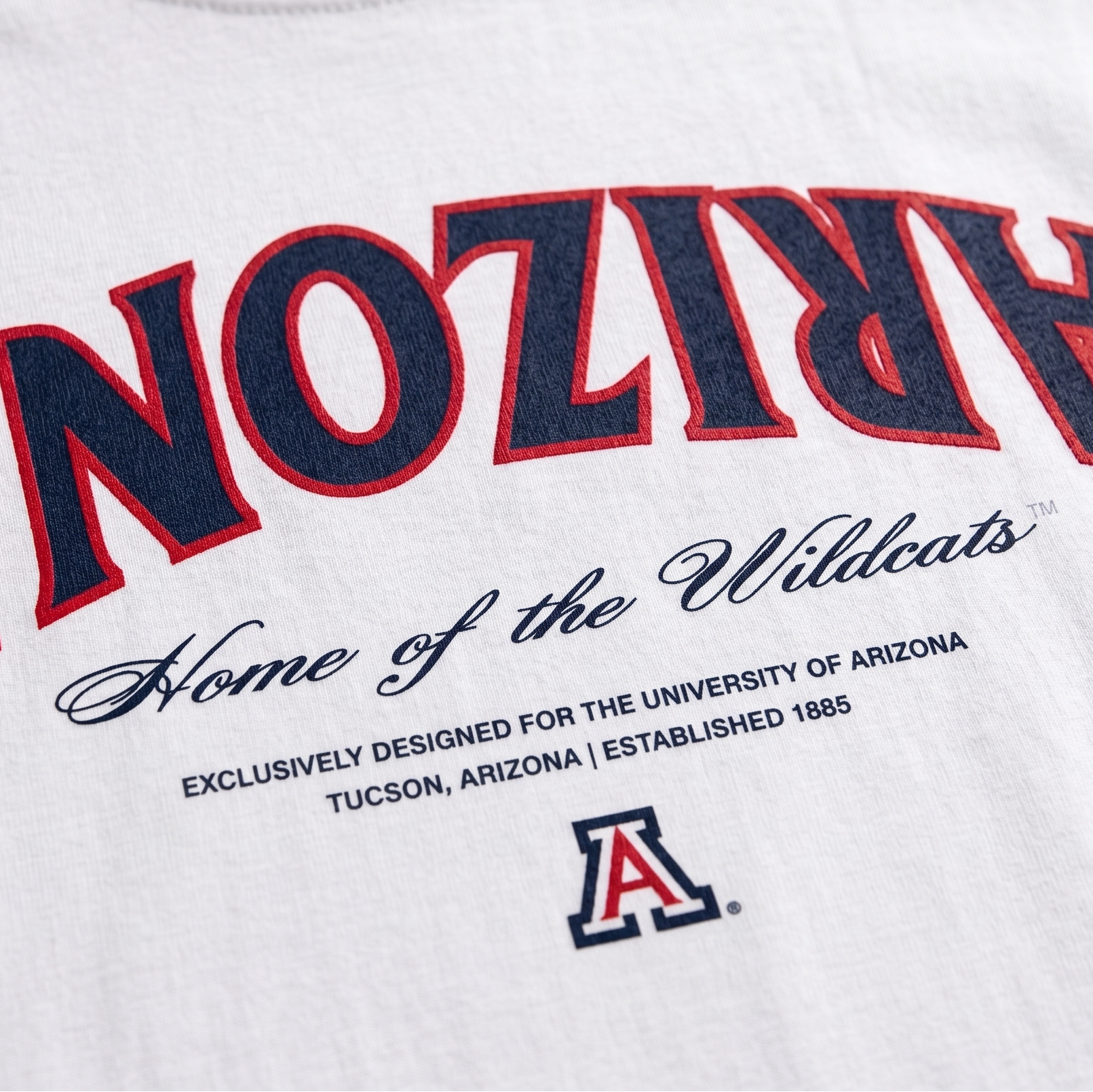Arizona Essentials Oversized Tee