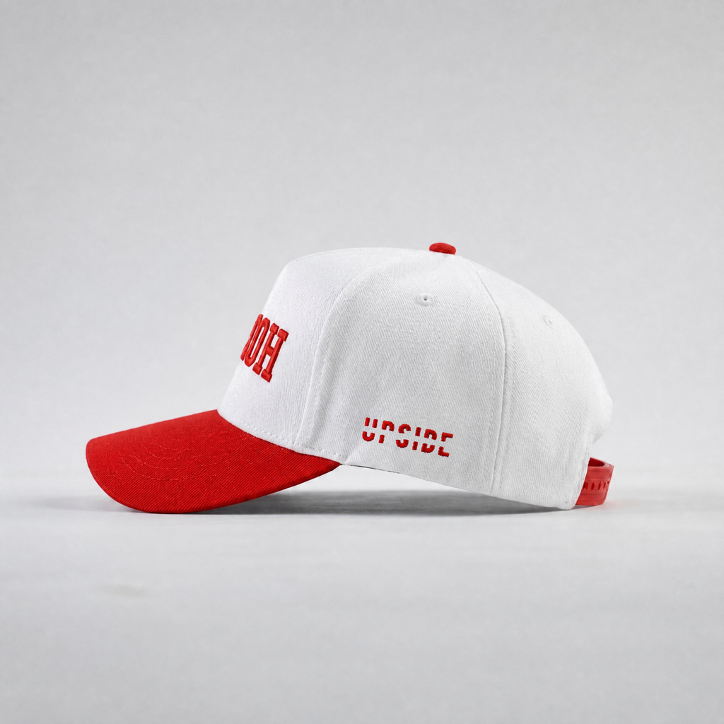 Houston Cougars Hat