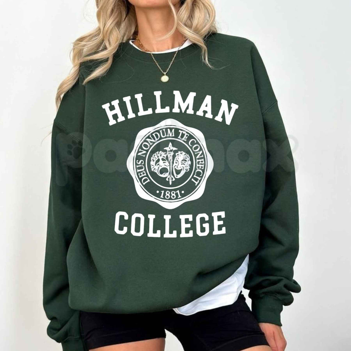 Hillman College Sweatshirt | Vintage 90s TV Collegiate Crewneck