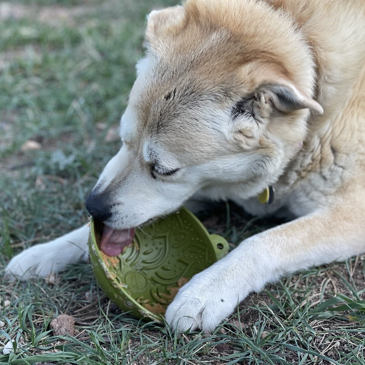 Garden of Eatin' Tipsy Bowl - Wobble Lick Mat for Dogs & Cats | USA Made