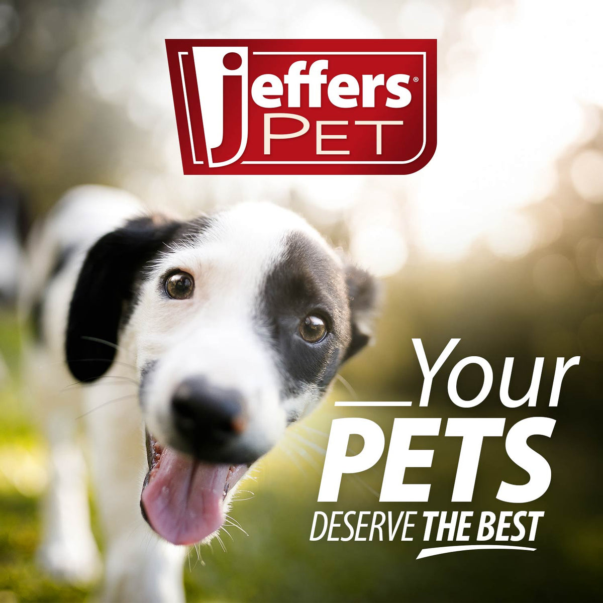 Jeffers Red Paw Frisbee Natural Rubber Dog Toy for Fetching & Chewing