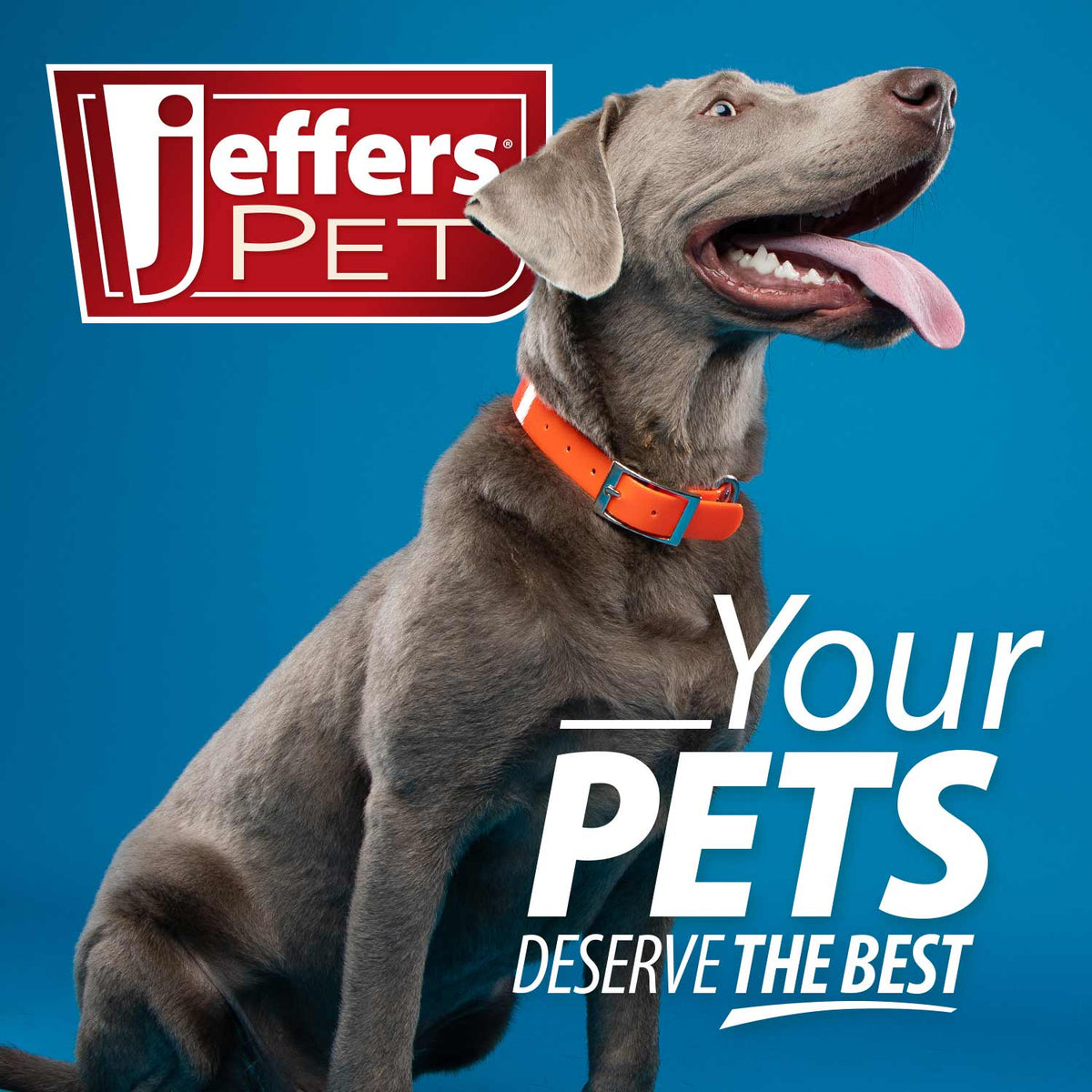 Jeffers Dog Grooming Dematting Rakes & Combs