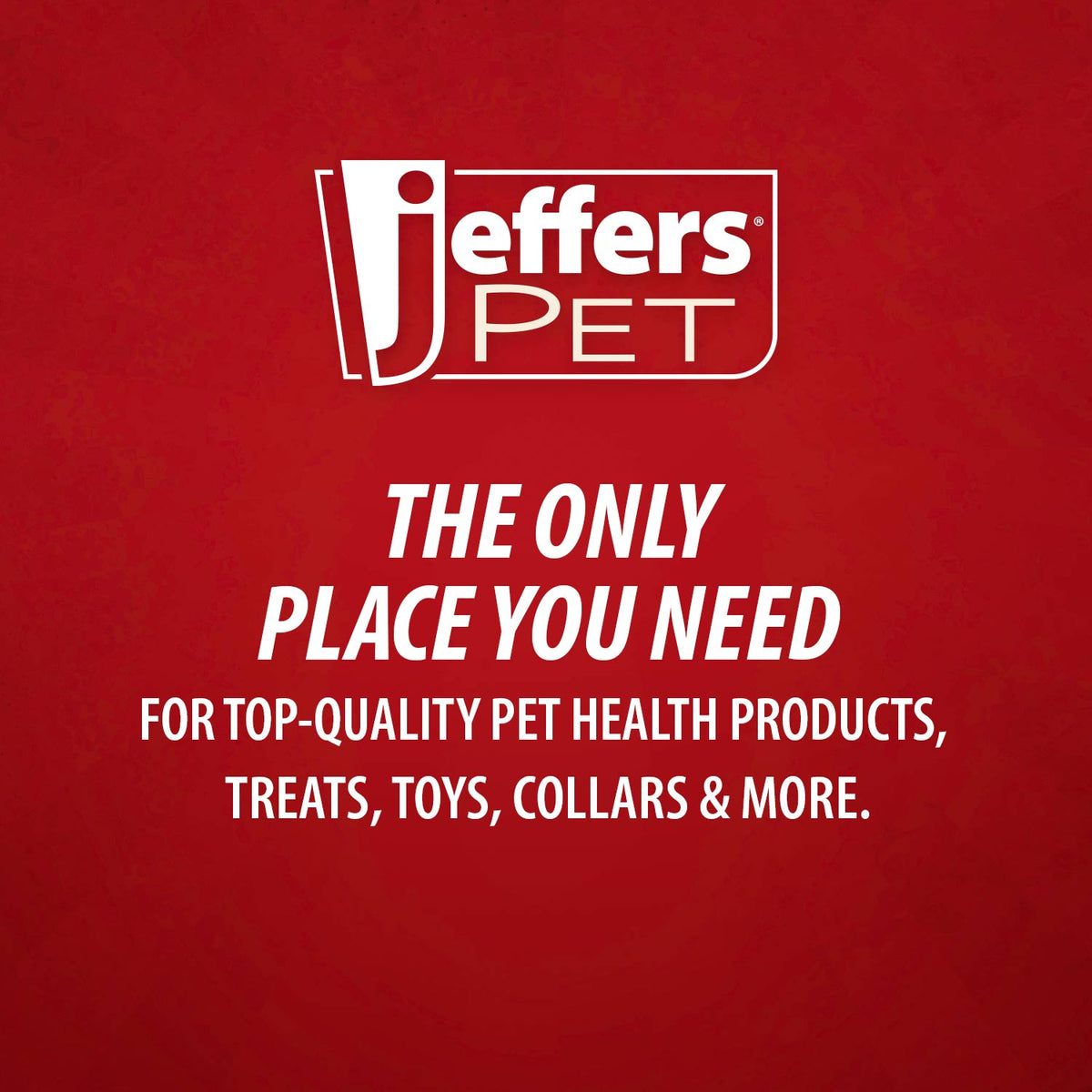 Jeffers Carrot Natural Rubber Treat Dispensing Dental Dog Chew Toy with Slit