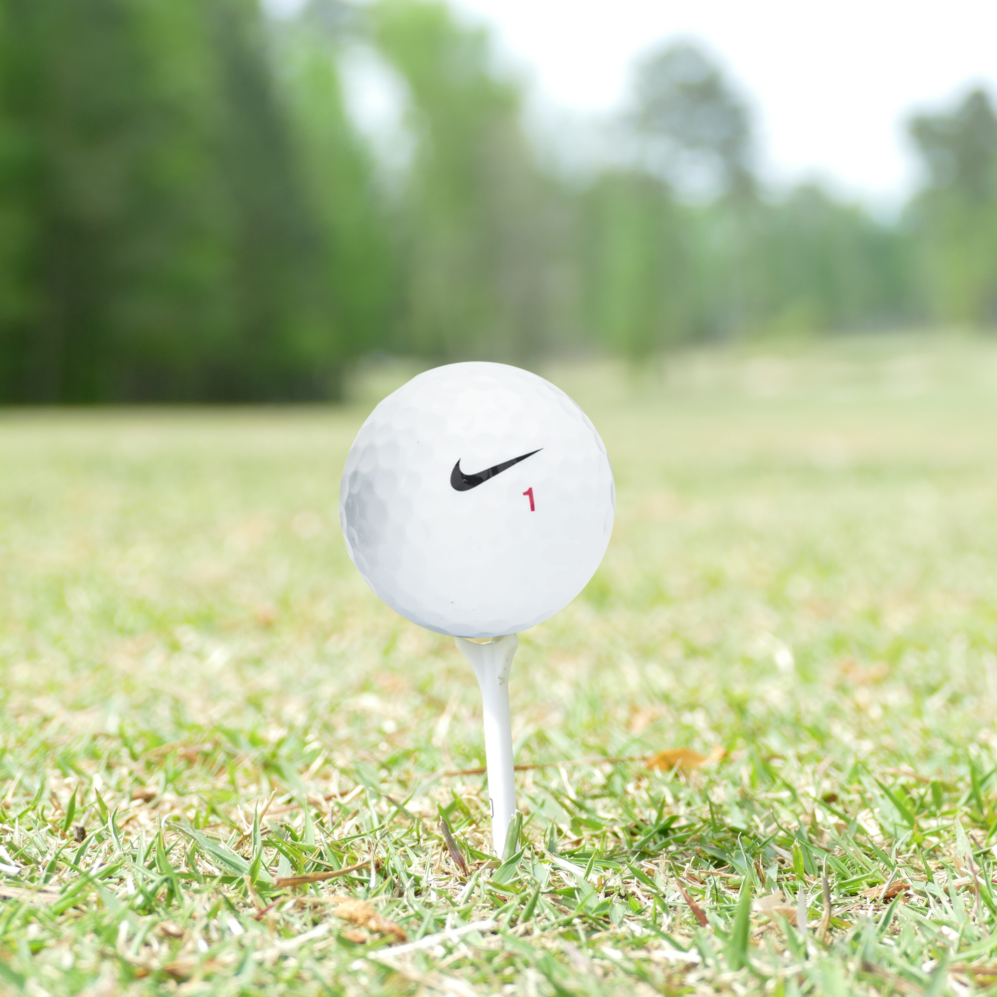Used Nike RZN White Golf Balls - 1 Dozen