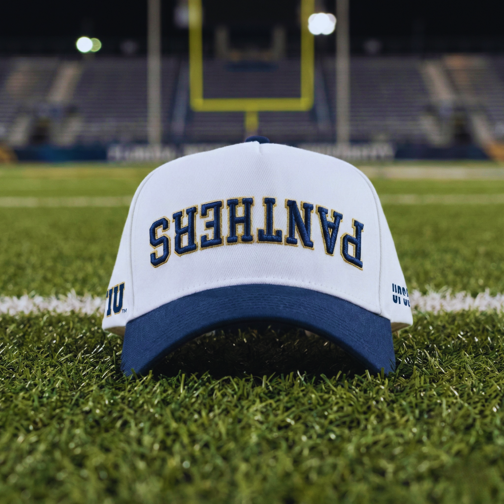 FIU Panthers Hat