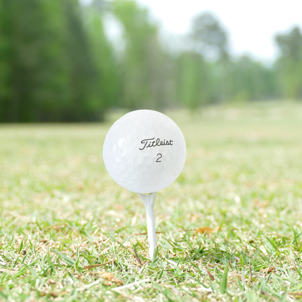 Used Titleist 2025 Pro V1 Golf Balls - 1 Dozen