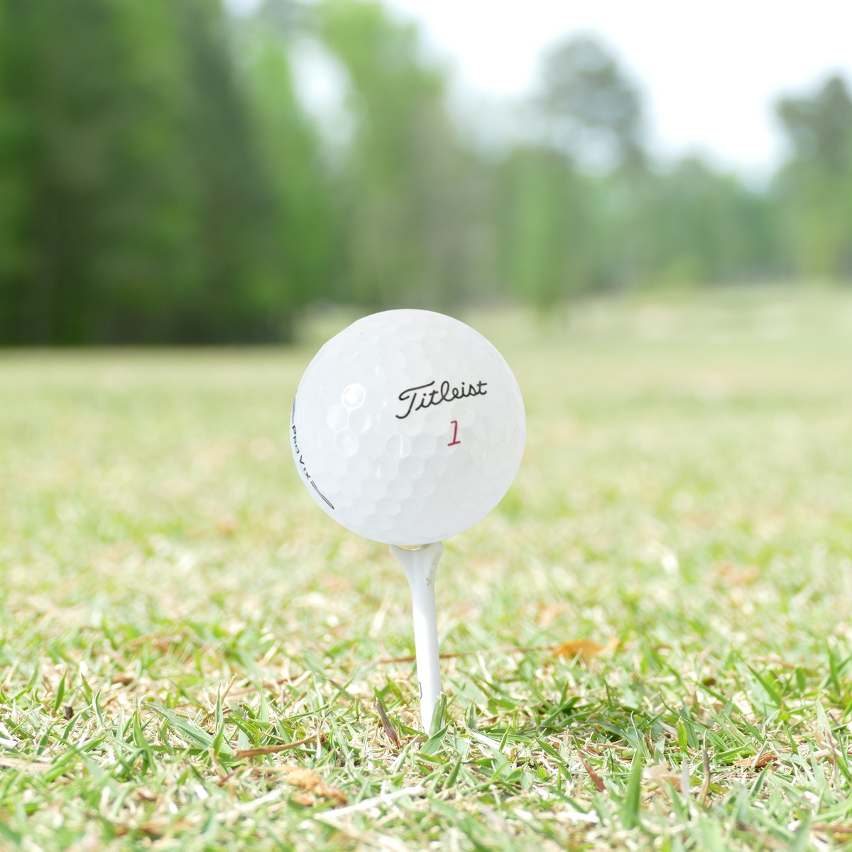 Used Titleist 2025 Pro V1x Golf Balls - 1 Dozen