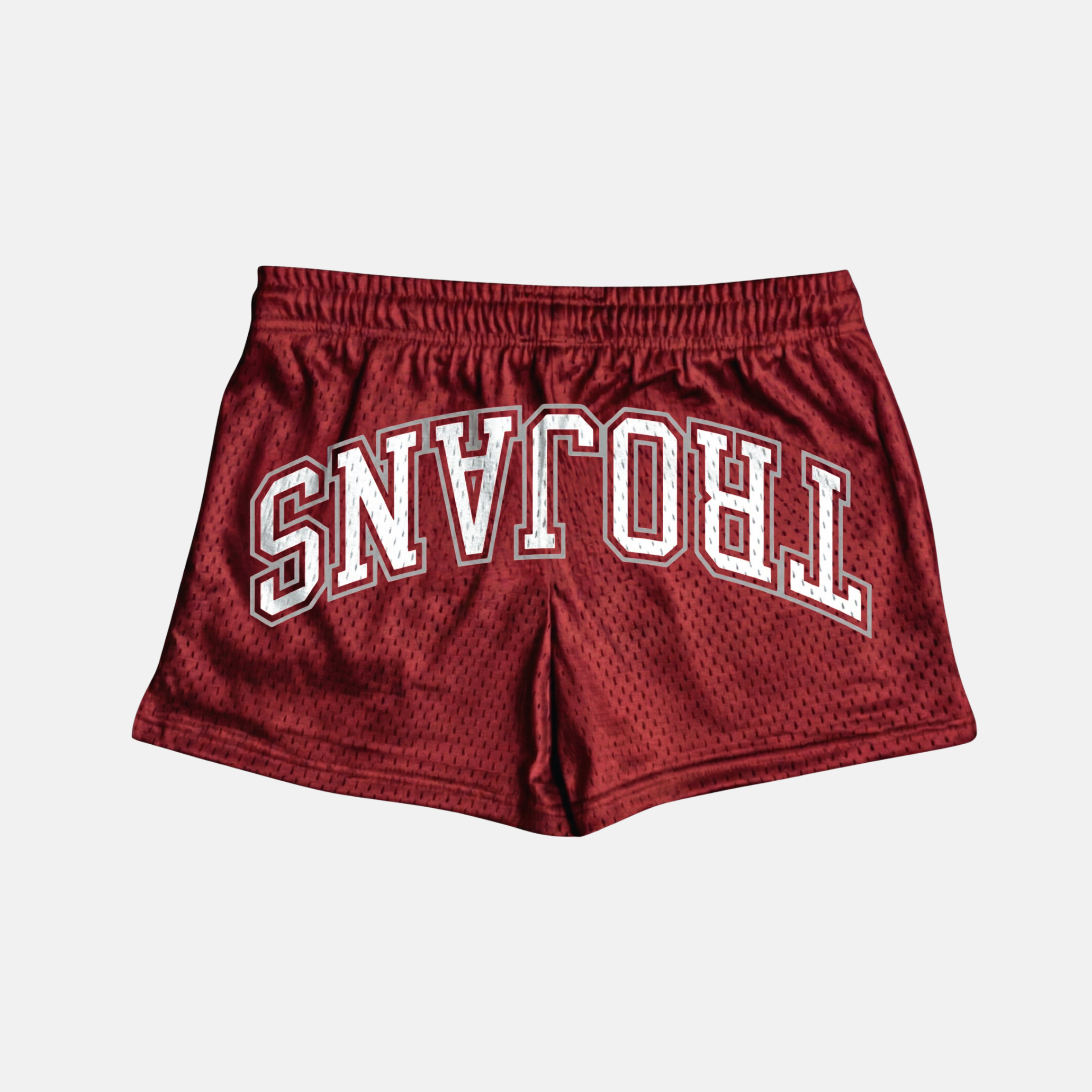 Troy Trojans Mesh Shorts | Women