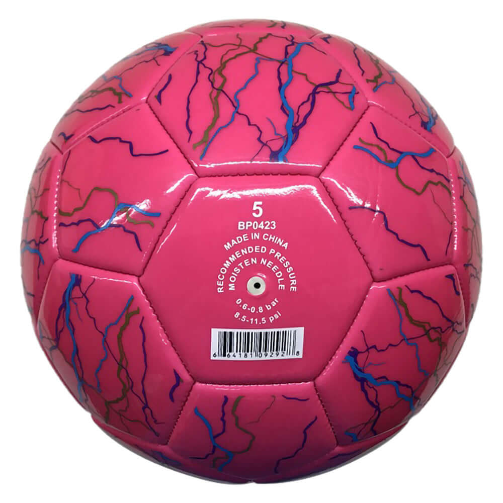 Zodiac Soccer Ball-Pink