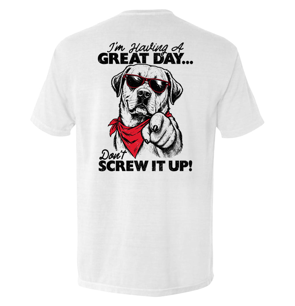 Don't Screw It Up