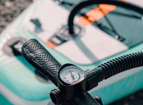 10'6 Royal Hawaiian Palm