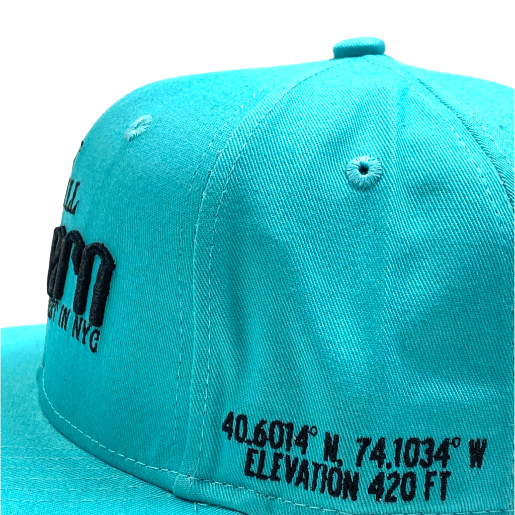 Highest In NYC - Teal Snapback