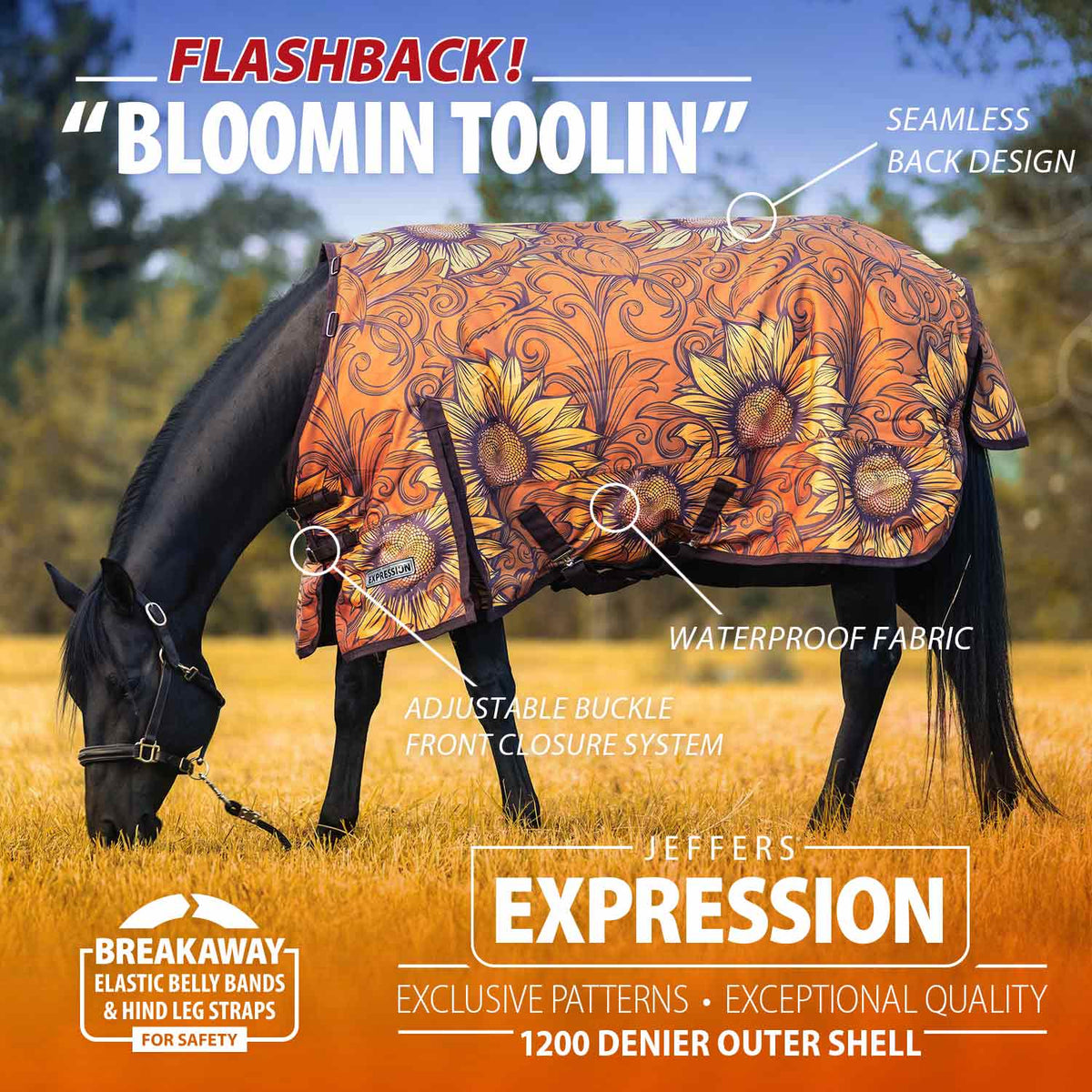 Jeffers Expression 1200 Denier Standard Neck Horse Turnout Sheet, 0 Gram