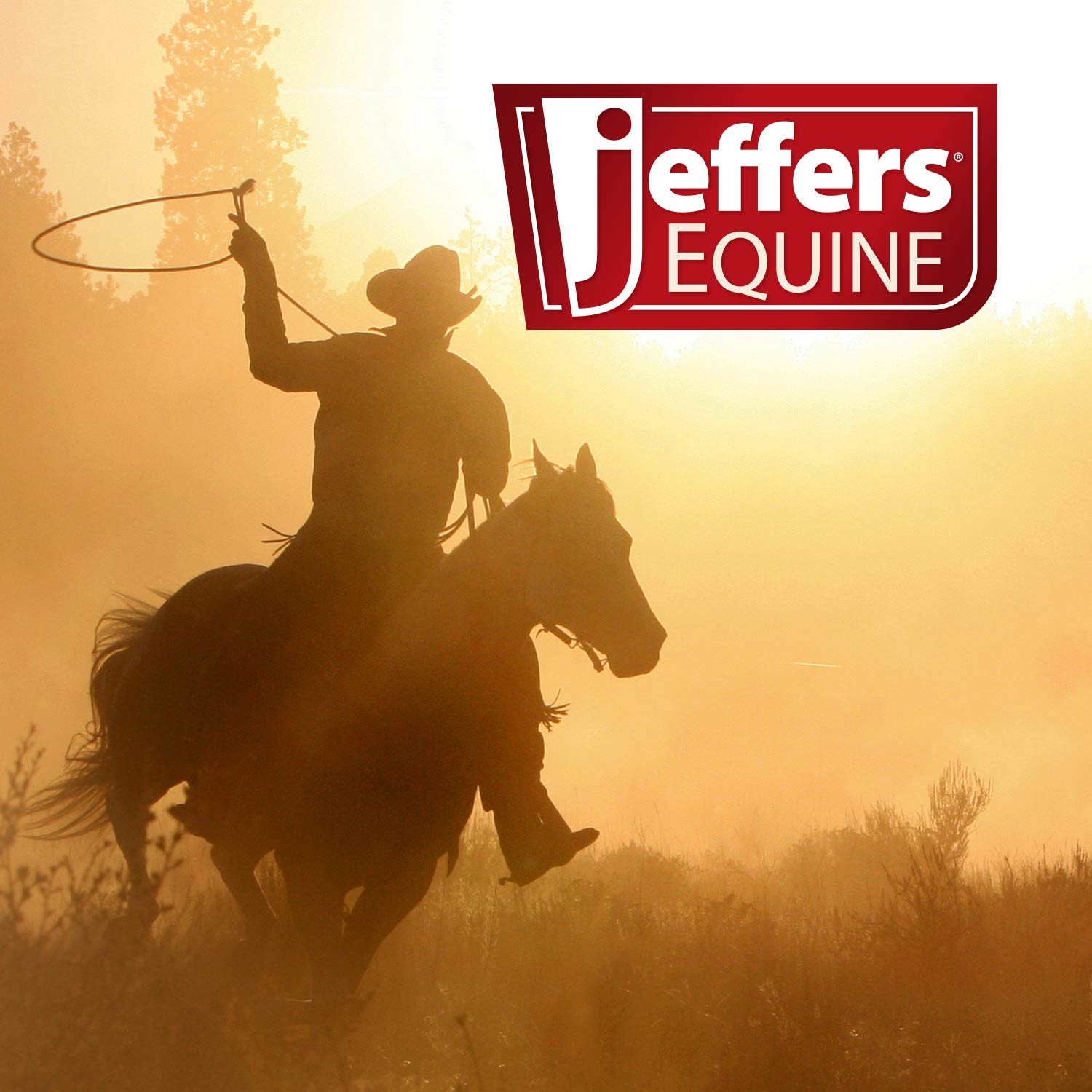 Jeffers Equine Glistening Gold All-Natural Tearless Horse Shampoo with Pure Hawaiian Coconut Oil