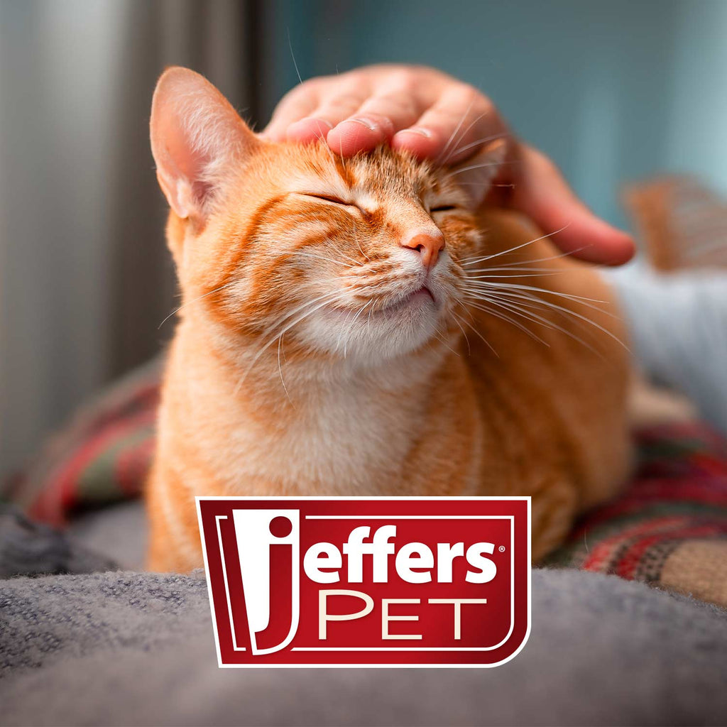 Jeffers Professional Stainless Steel Pet Grooming Shears