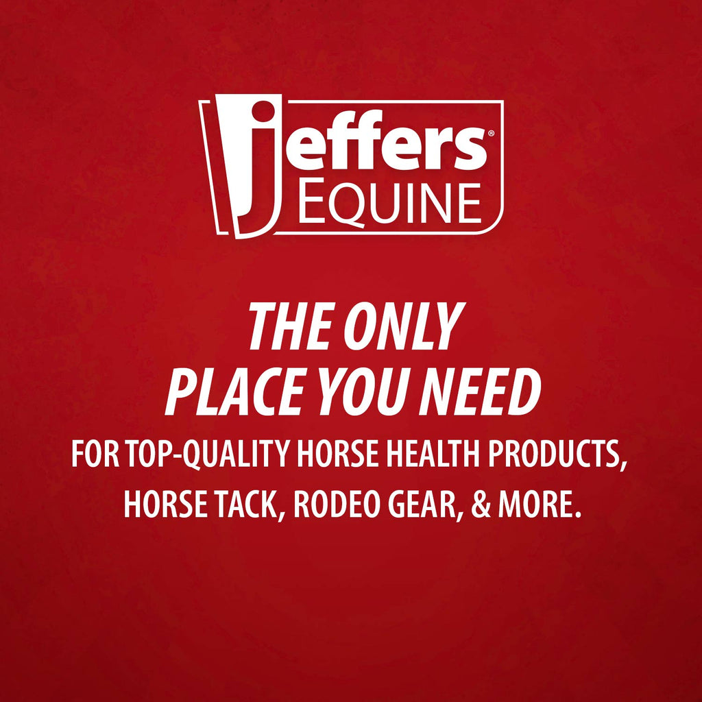 Jeffers Protective Horse Boots, Solid Colors, 2-Pack