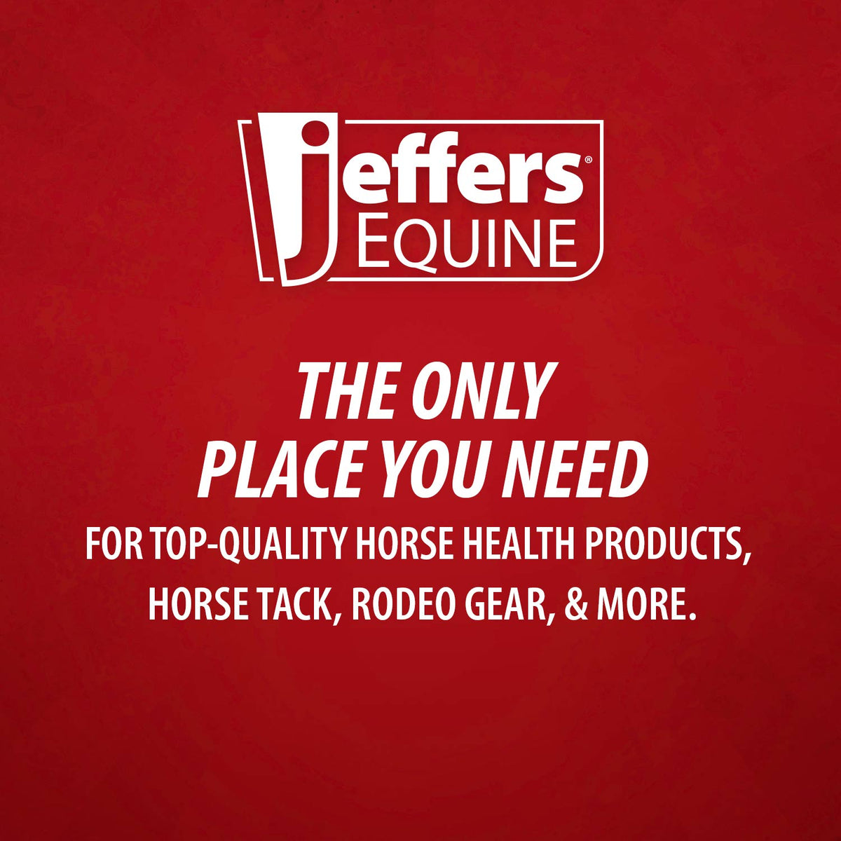 Jeffers Equine No-Rinse Waterless Horse Shampoo Spray
