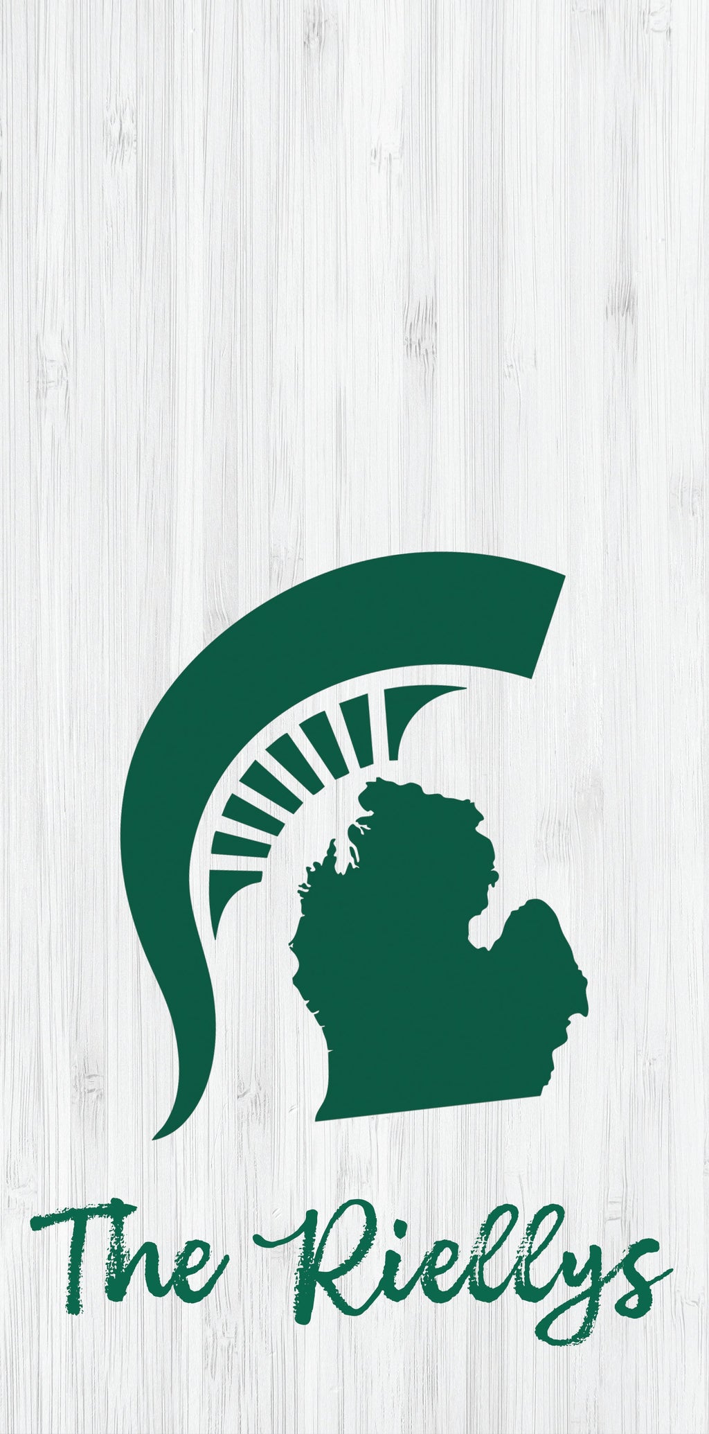 State of Michigan Custom Name Pro Style Cornhole Boards