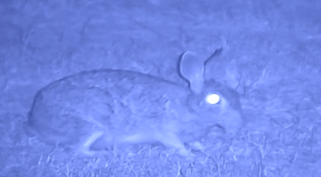 NVx7 Digital Night Sight