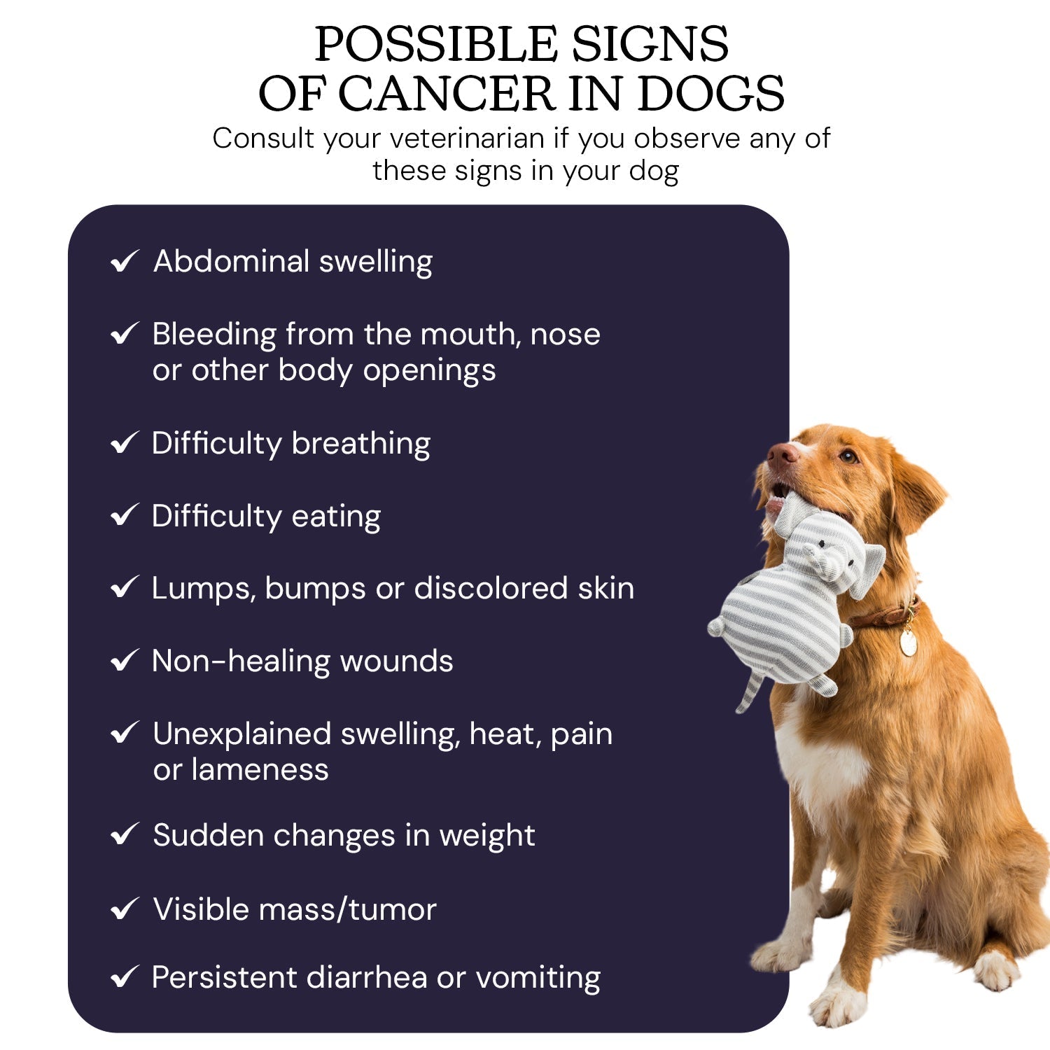 At-Home Dog Cancer Screening Test Kit