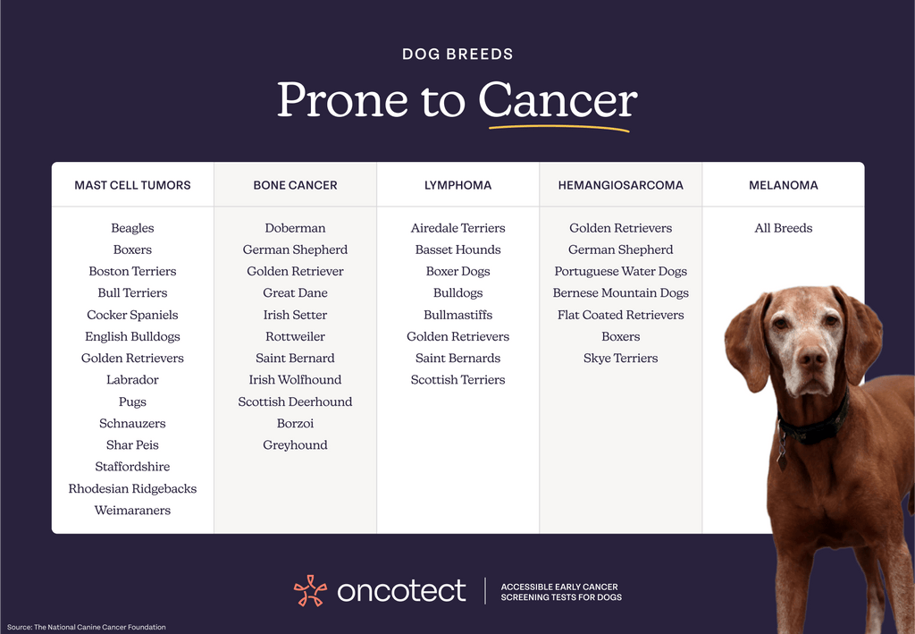At-Home Dog Cancer Screening Test Kit