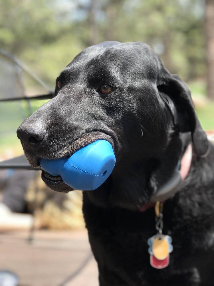 Double Trouble Dog Toy - Dual Chamber Treat Dispenser for Large Dogs | USA Made